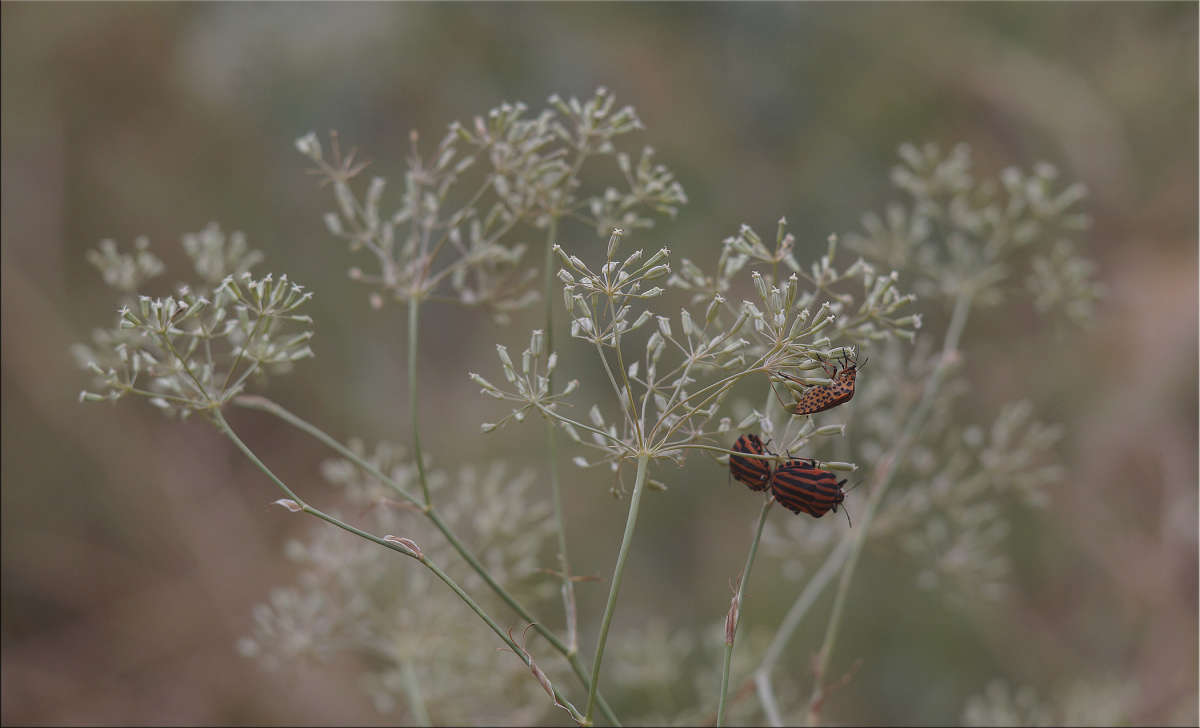 ������ ������ ����� ������  �� PhotoGeek.ru #�������� ���