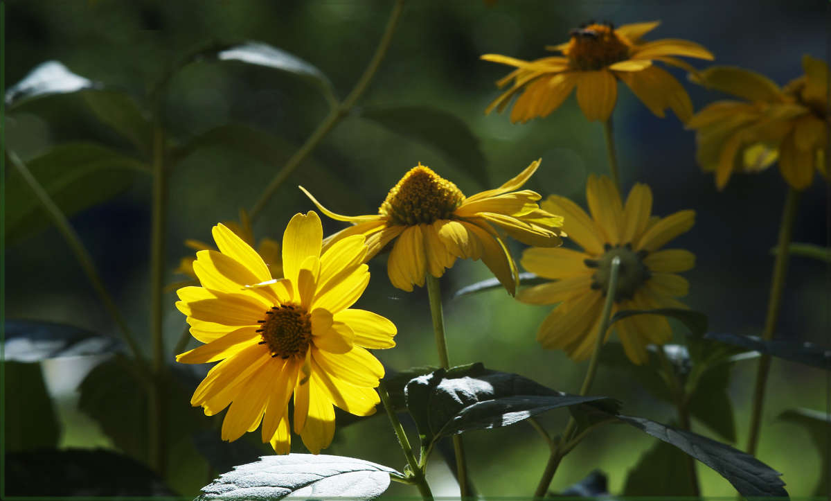 "������ ������ 3" ����� ������  �� PhotoGeek.ru #������ ��� �������