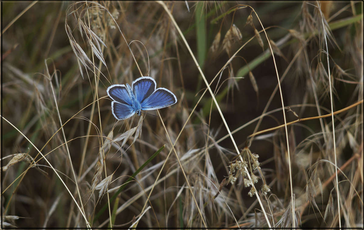 "����� ������" ����� ������  �� PhotoGeek.ru #�������� ���