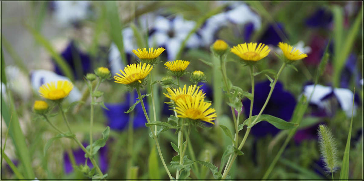 "������������" ����� ������  �� PhotoGeek.ru #������ ��� �������