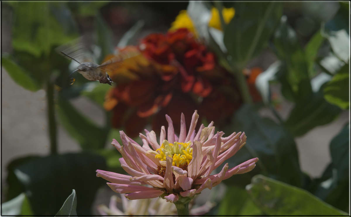 "����� ��������" "��� ��������" "��������� ��������" "���������" ����� ������  �� PhotoGeek.ru #������ ��� �������