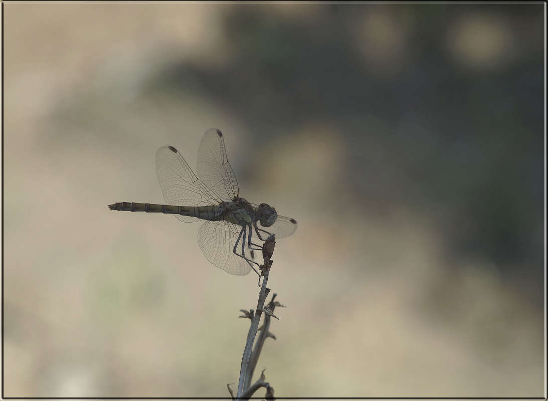 "��������� ��������" ����� ������  �� PhotoGeek.ru #�������� ���