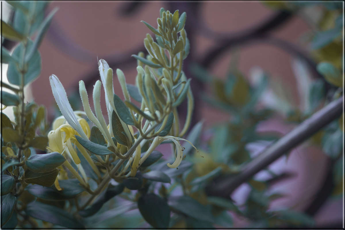 "��� ��������" ����� ������  �� PhotoGeek.ru #������ ��� �������