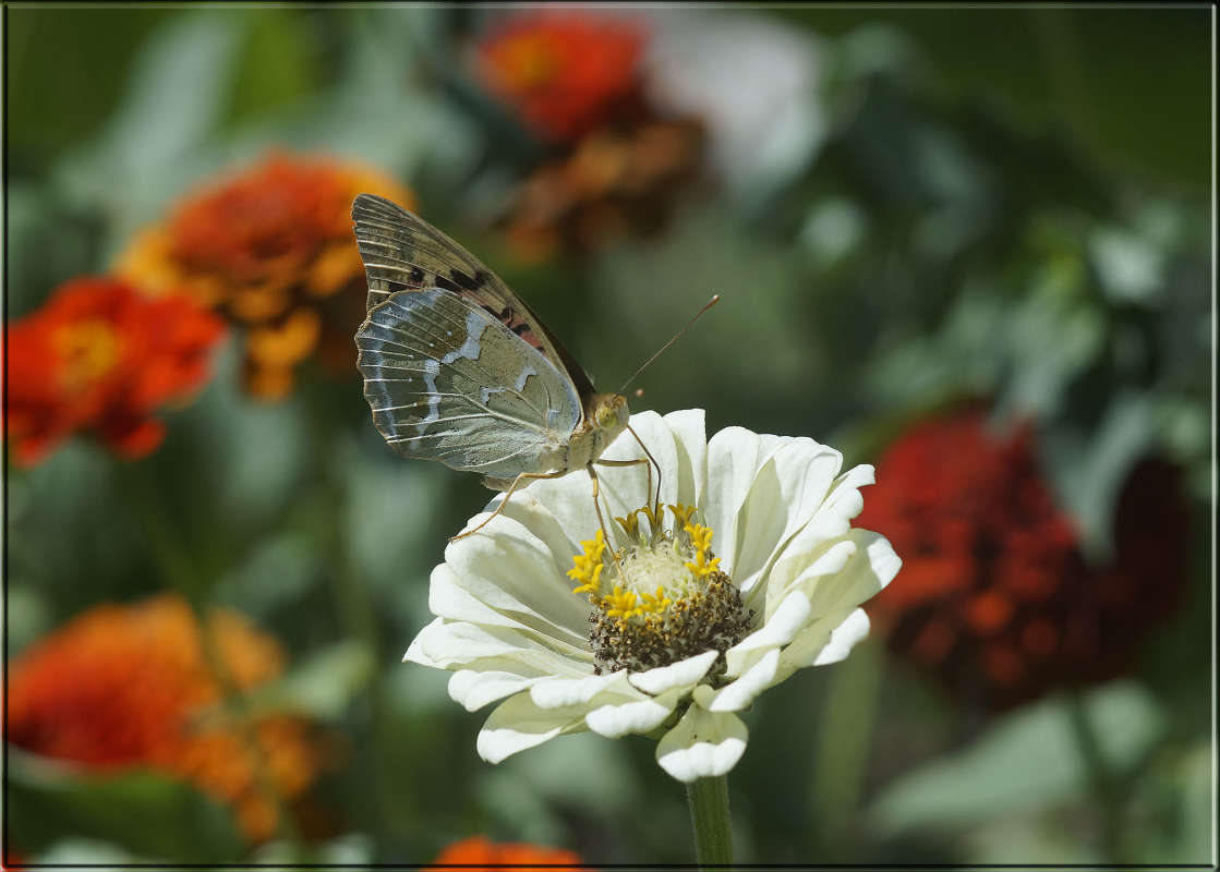 ��������� 2 ����� ������  �� PhotoGeek.ru #�������� ���