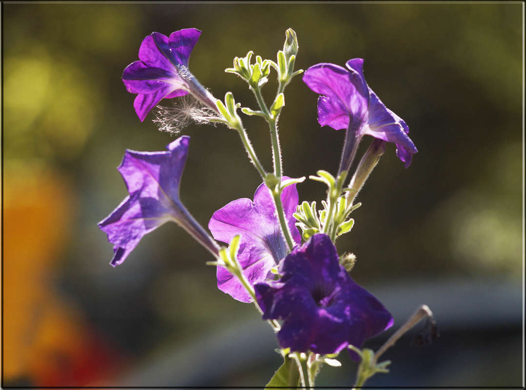 "� ������� ������" ����� ������  �� PhotoGeek.ru #������ ��� �������