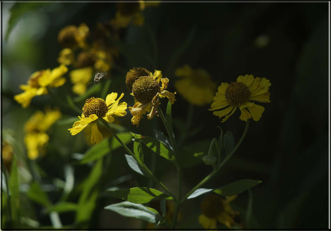 "�������� � ������� ������" ����� ������  �� PhotoGeek.ru #������ ��� �������