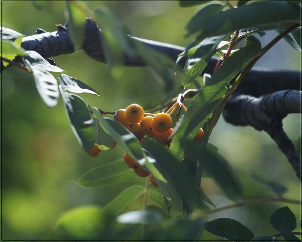 "����������" ����� ������  �� PhotoGeek.ru #������ ��� �������