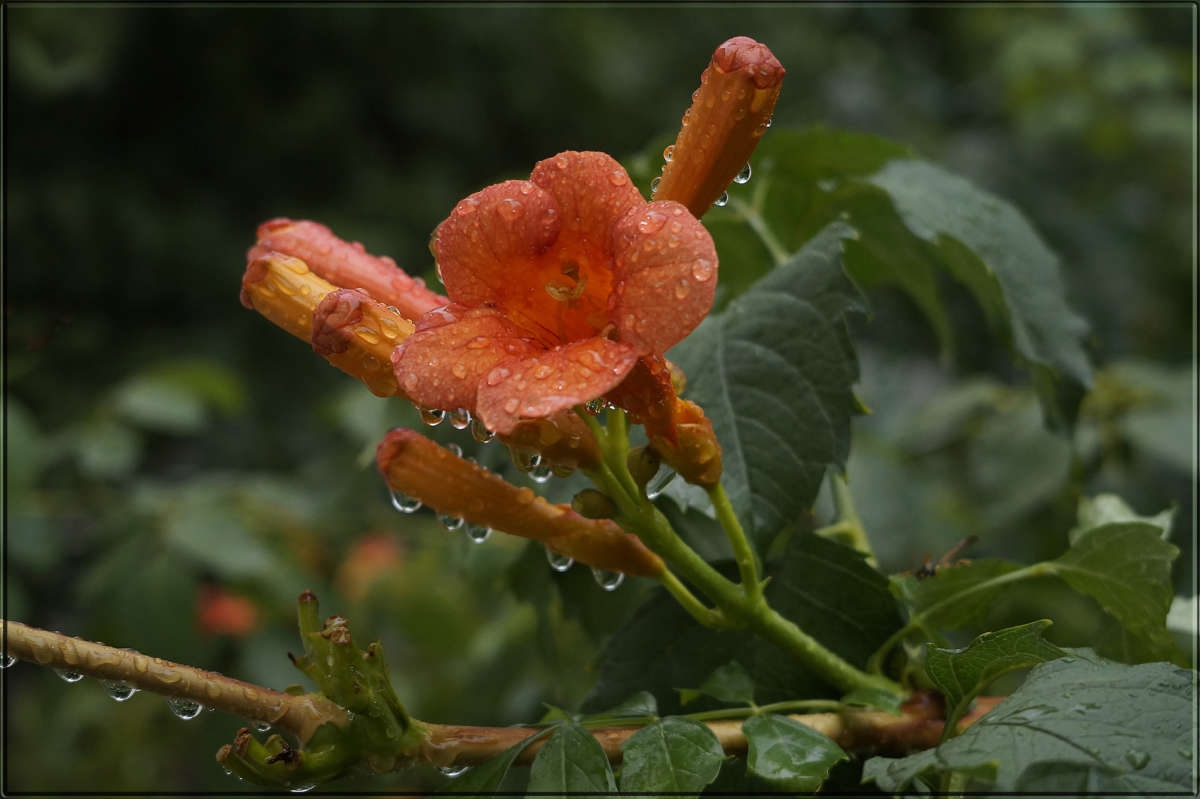 "������ ����� ������ 2" ����� ������  �� PhotoGeek.ru #������ ��� �������