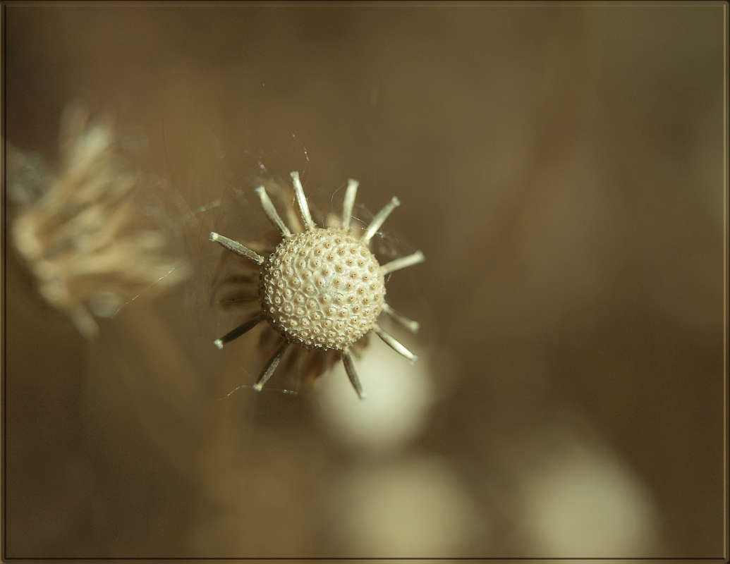 ������ ����� ������ ����� ������  �� PhotoGeek.ru #������ ��� �������