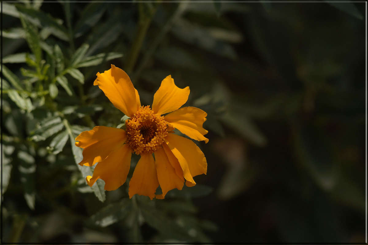 "����� ���������" ����� ������  �� PhotoGeek.ru #������ ��� �������