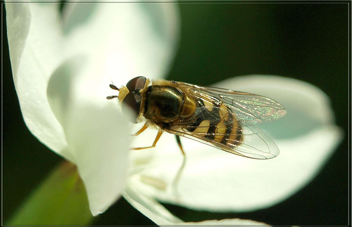 �������� ����� ������  �� PhotoGeek.ru #�����