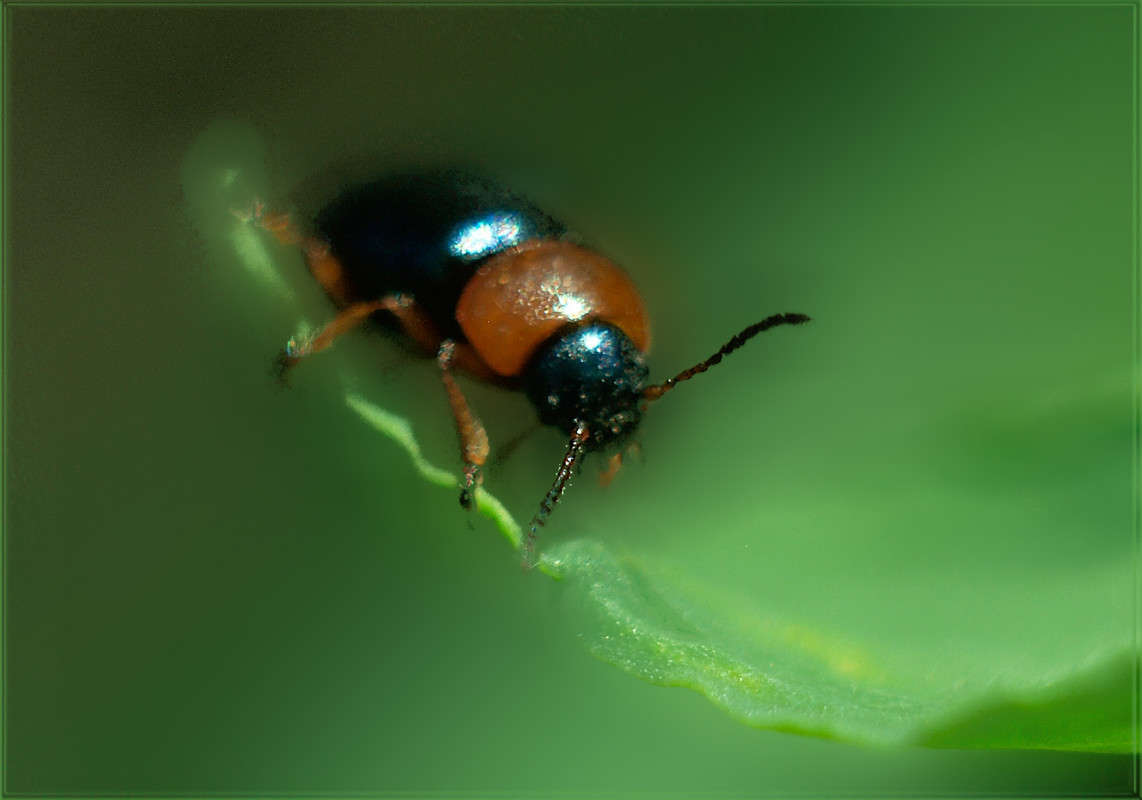 ����� ���������� ����� ������  �� PhotoGeek.ru #�����