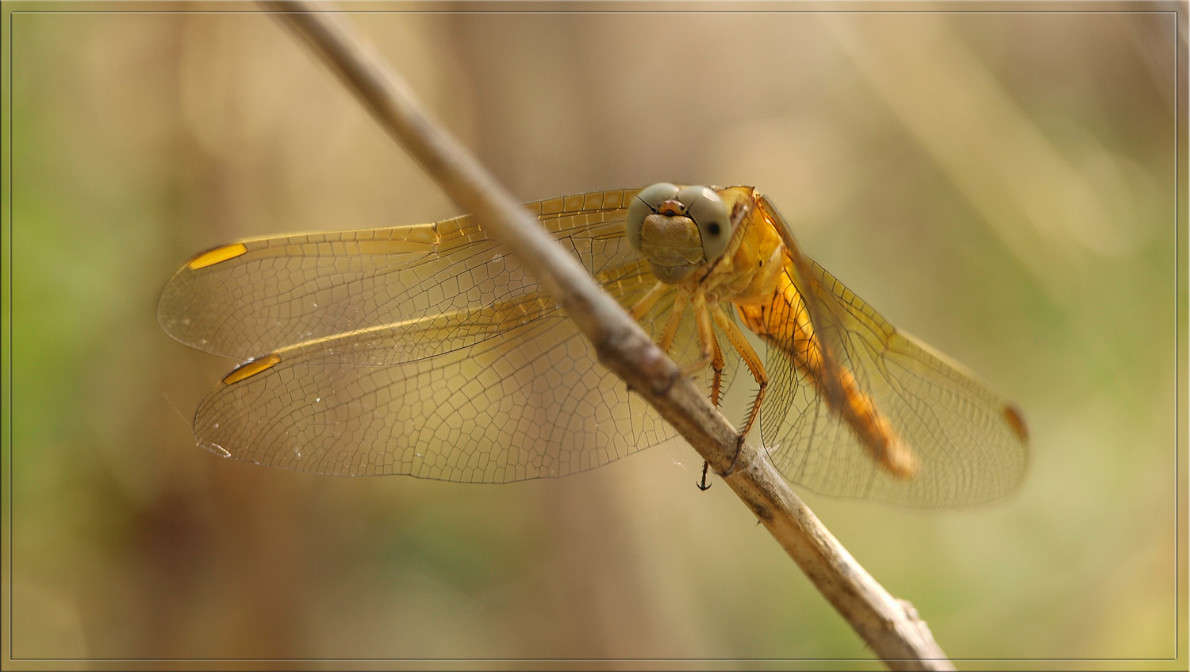 �������� �� ����� ����� ������  �� PhotoGeek.ru #�����
