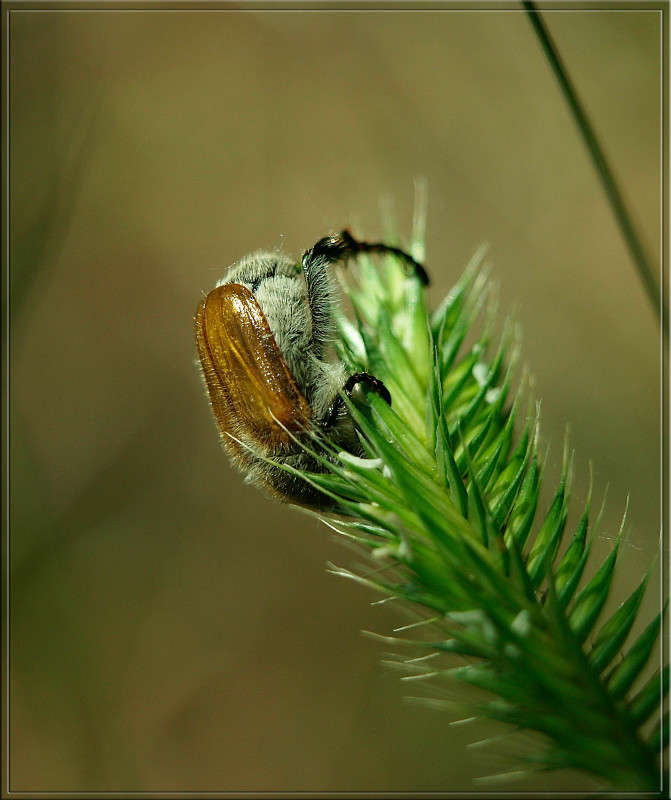 ��������� ����� ������  �� PhotoGeek.ru #�����