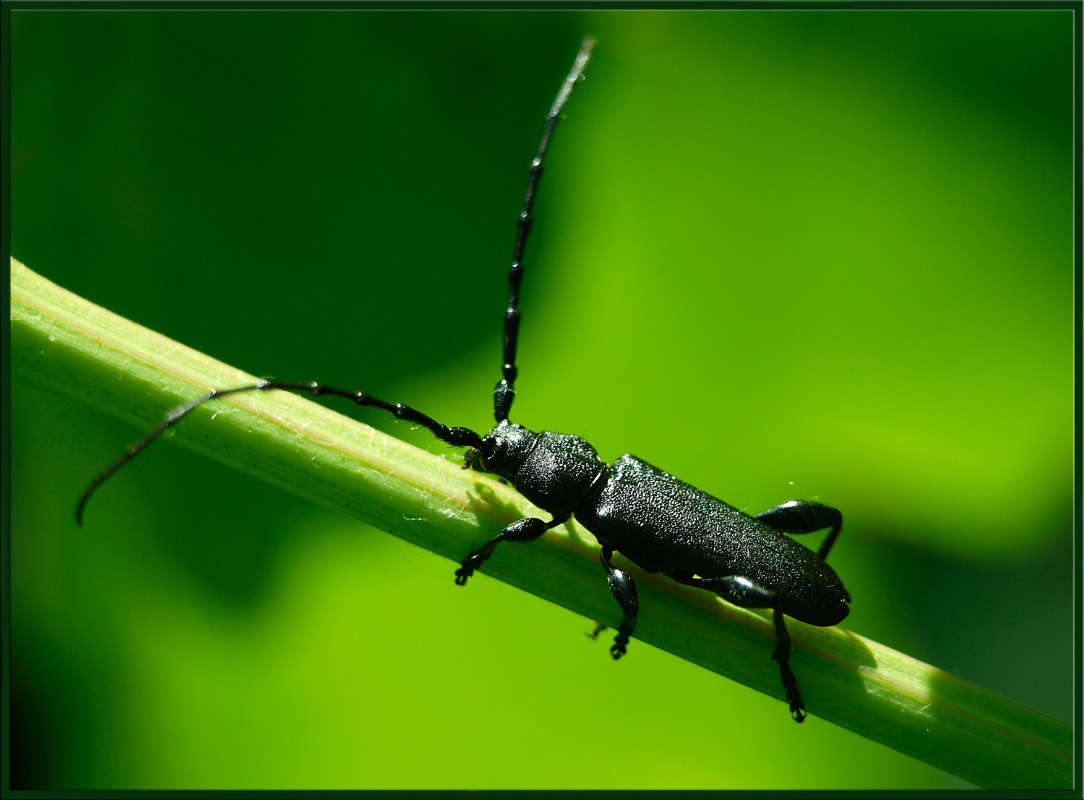 �� ����� ��� ����� ������  �� PhotoGeek.ru #�����