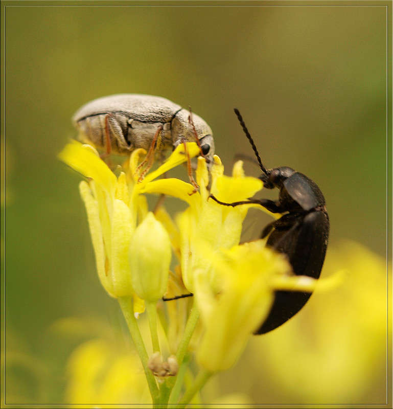 ������� ����� ������  �� PhotoGeek.ru #�����