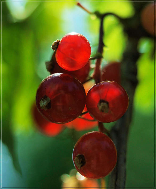 ������ � ������������ ����� ������  �� PhotoGeek.ru #������ ��� �������