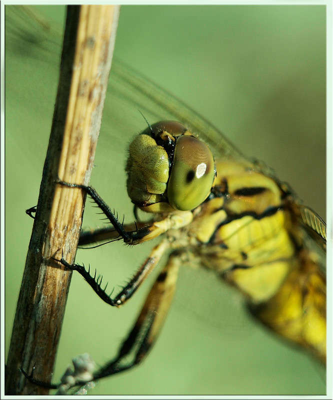 ������� ������� ����� ������  �� PhotoGeek.ru #�����