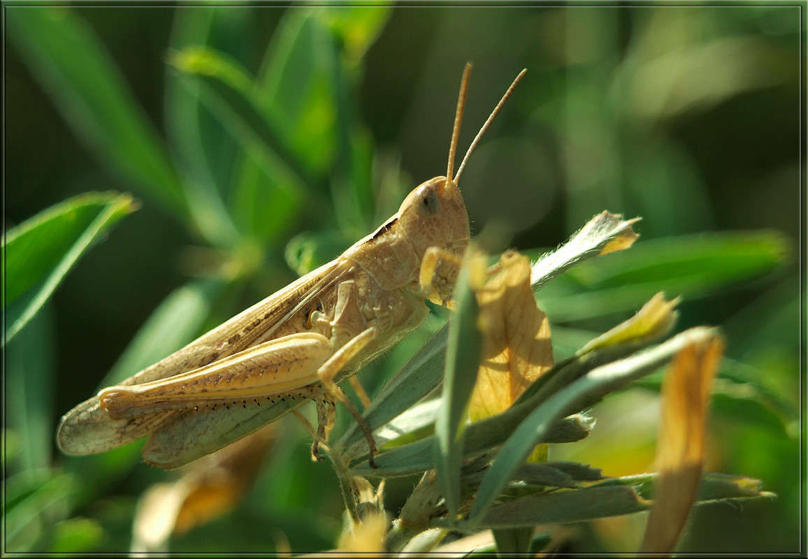 �� �������� ����� ������  �� PhotoGeek.ru #�����