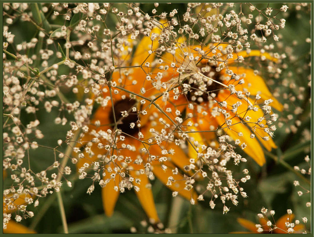 ������ �� ������ ����� ������  �� PhotoGeek.ru #������ ��� �������