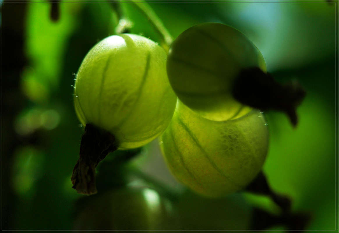 ����������� ����� ������  �� PhotoGeek.ru #�����