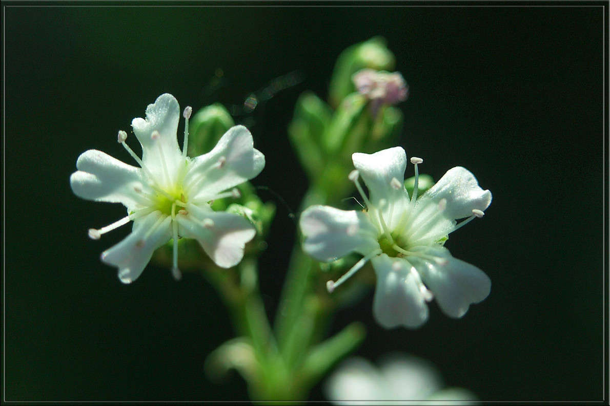 ������� ����� ������  �� PhotoGeek.ru #������ ��� �������