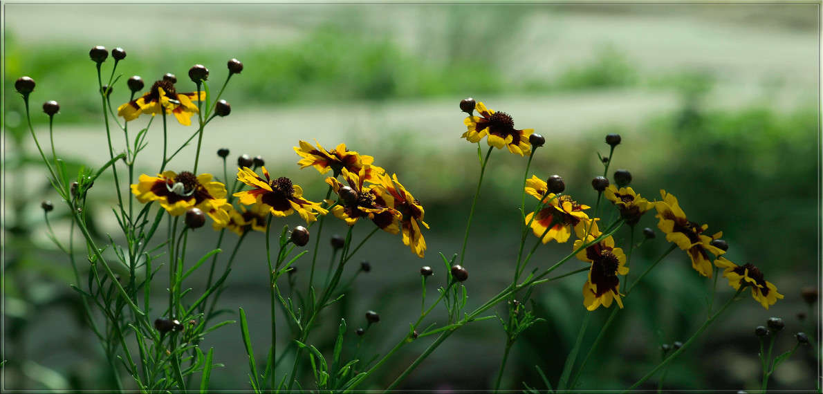 � �������� ����� ������  �� PhotoGeek.ru #������ ��� �������