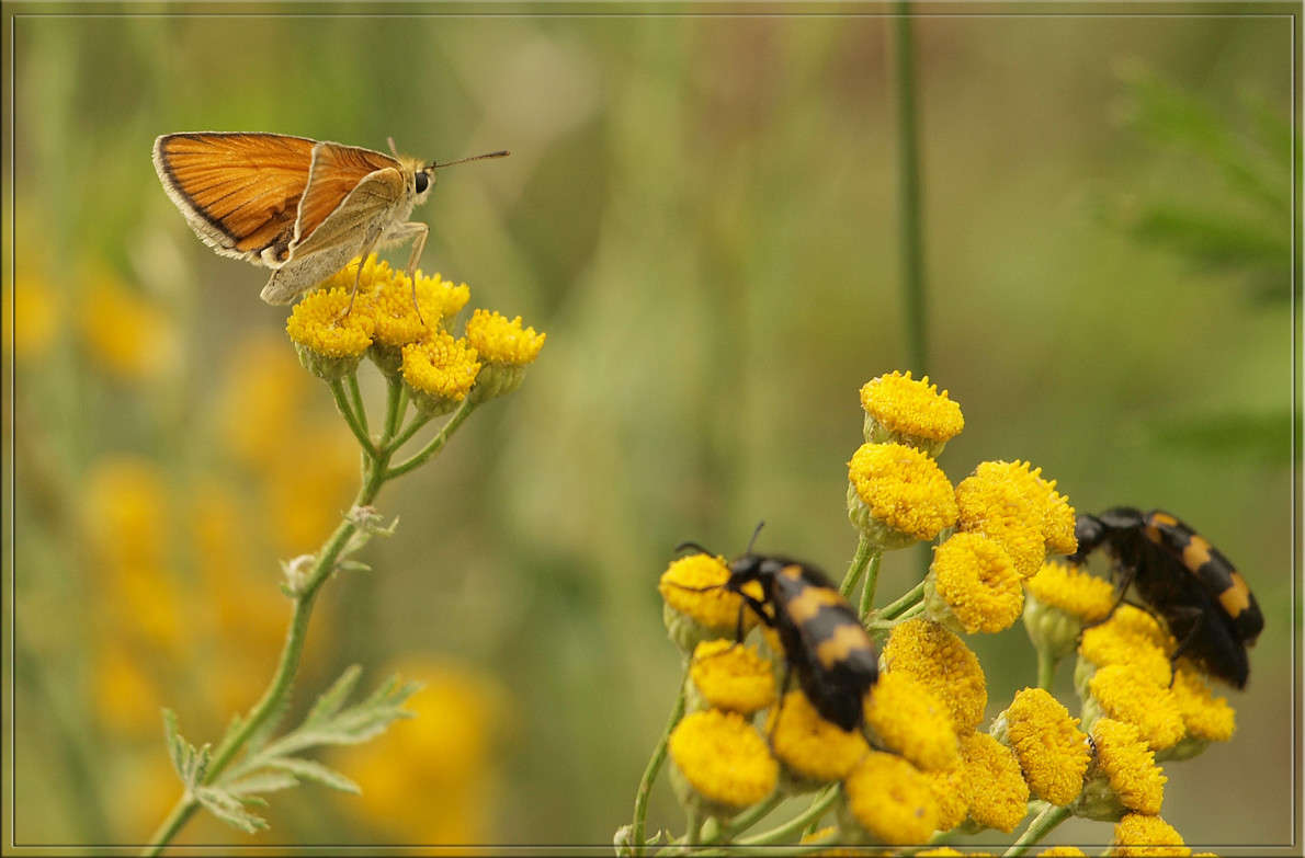 ���������� ����� ������  �� PhotoGeek.ru #�����
