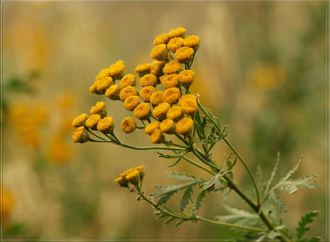 ������� ����� ������  �� PhotoGeek.ru #������ ��� �������