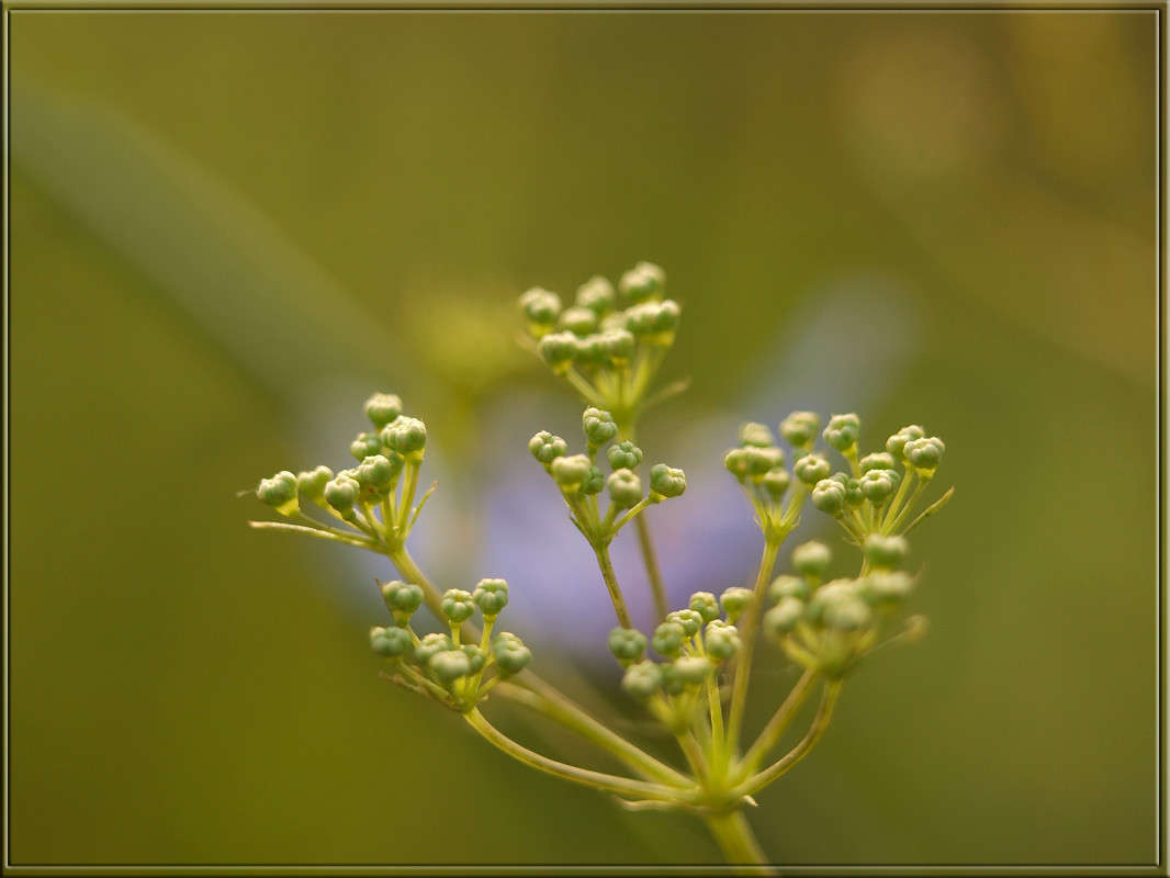 ������� �������� ����� ������  �� PhotoGeek.ru #������ ��� �������