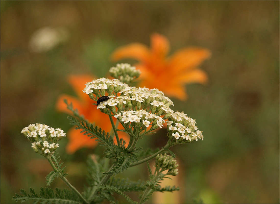 ��� ��� ������ ����� ������  �� PhotoGeek.ru #������ ��� �������
