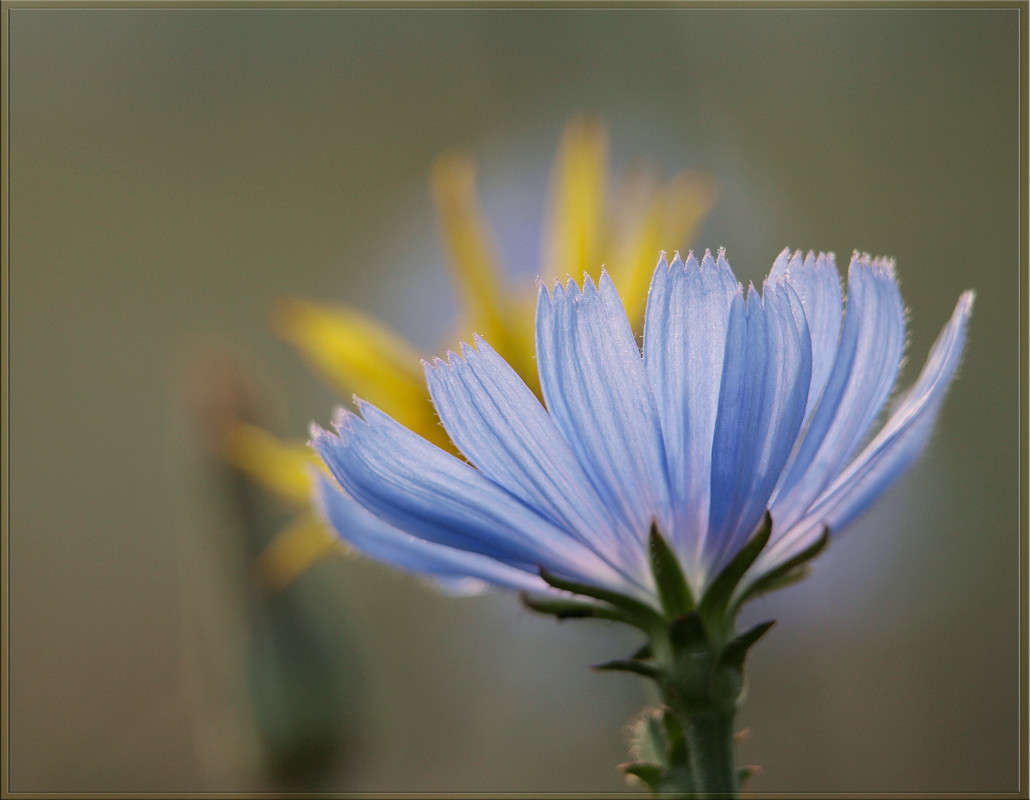 ������� �� ������ ����� ������  �� PhotoGeek.ru #������ ��� �������