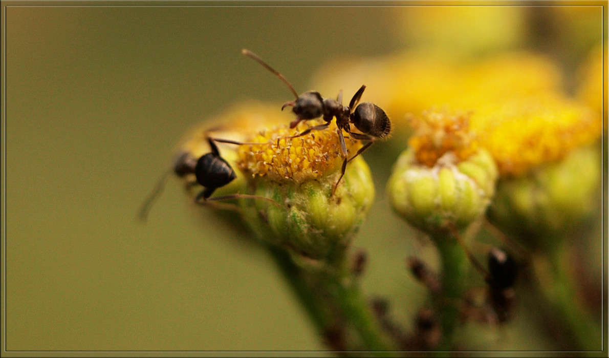 �������� ������� ����� ������  �� PhotoGeek.ru #�����