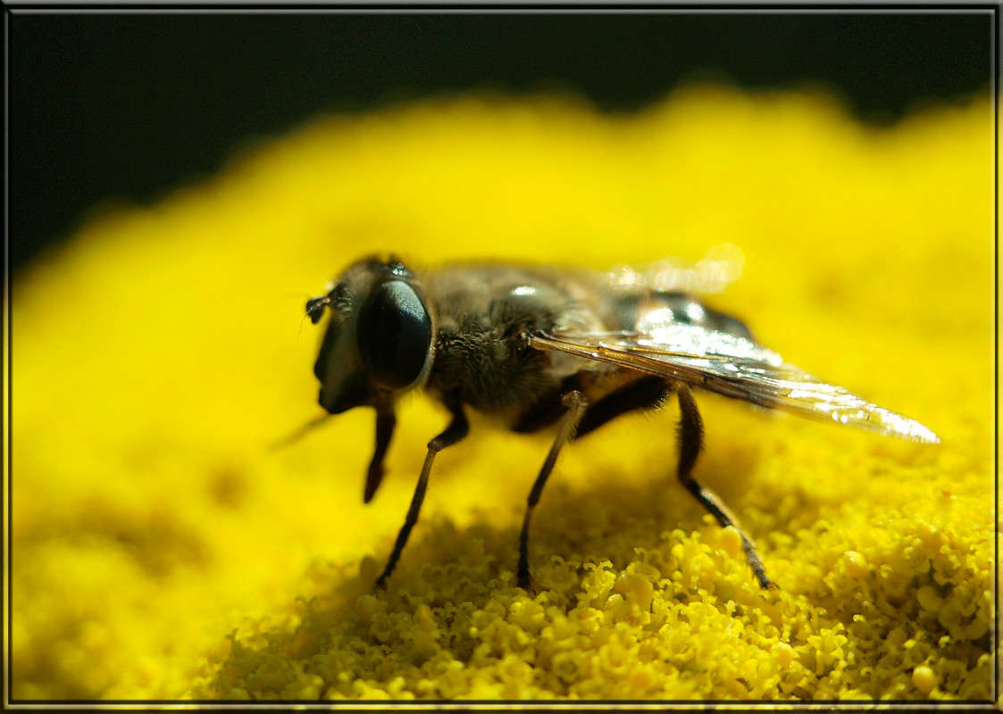 ����� ����� ������  �� PhotoGeek.ru #�����