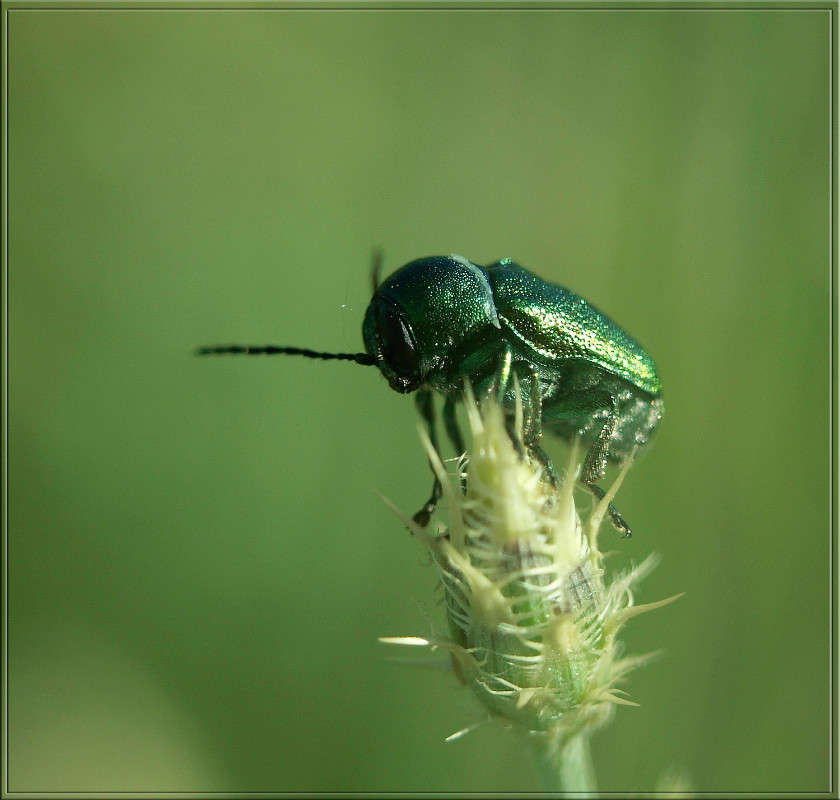 �������  � ��������� ����� ������  �� PhotoGeek.ru #�����