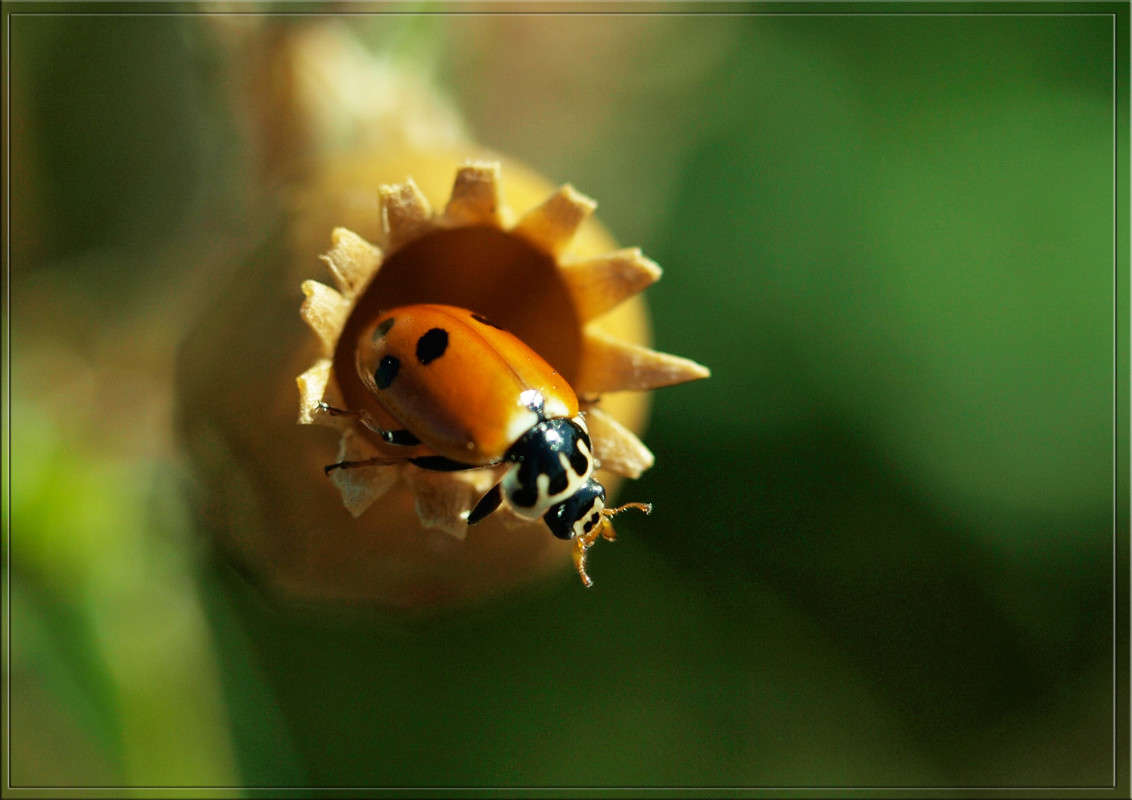 �� ���������� ����� ������  �� PhotoGeek.ru #�����