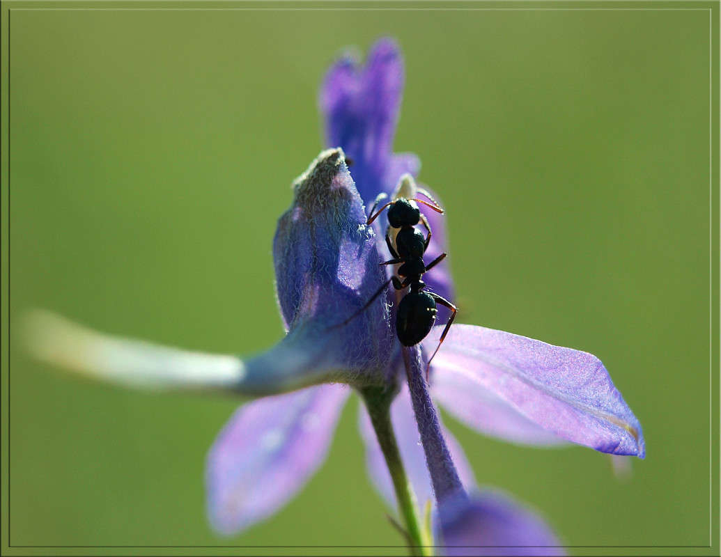 ��������� �� ���������� ����� ������  �� PhotoGeek.ru #�����