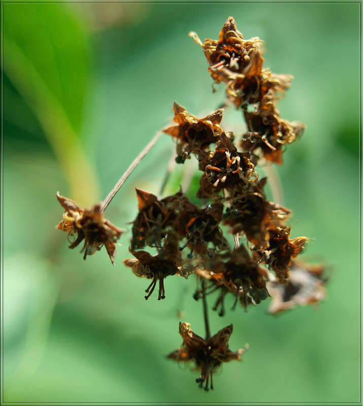 ������ ����� ������  �� PhotoGeek.ru #�����