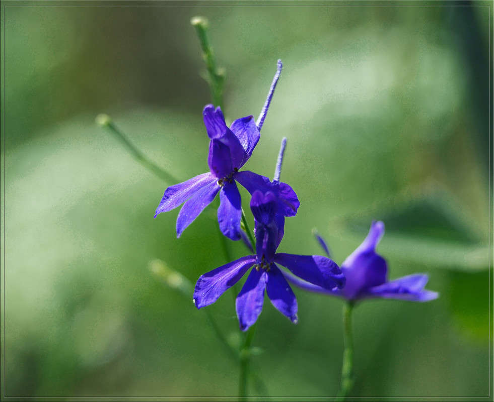 ��������.jpg ����� ������  �� PhotoGeek.ru #������ ��� �������