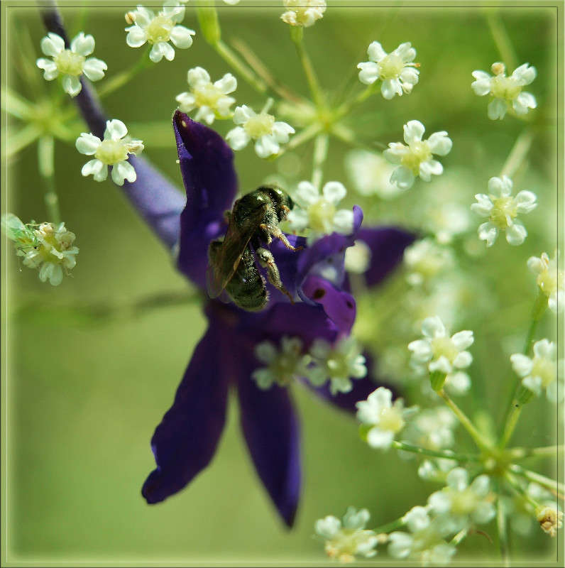 �� � � ��������� ������ ����� ������  �� PhotoGeek.ru #�����