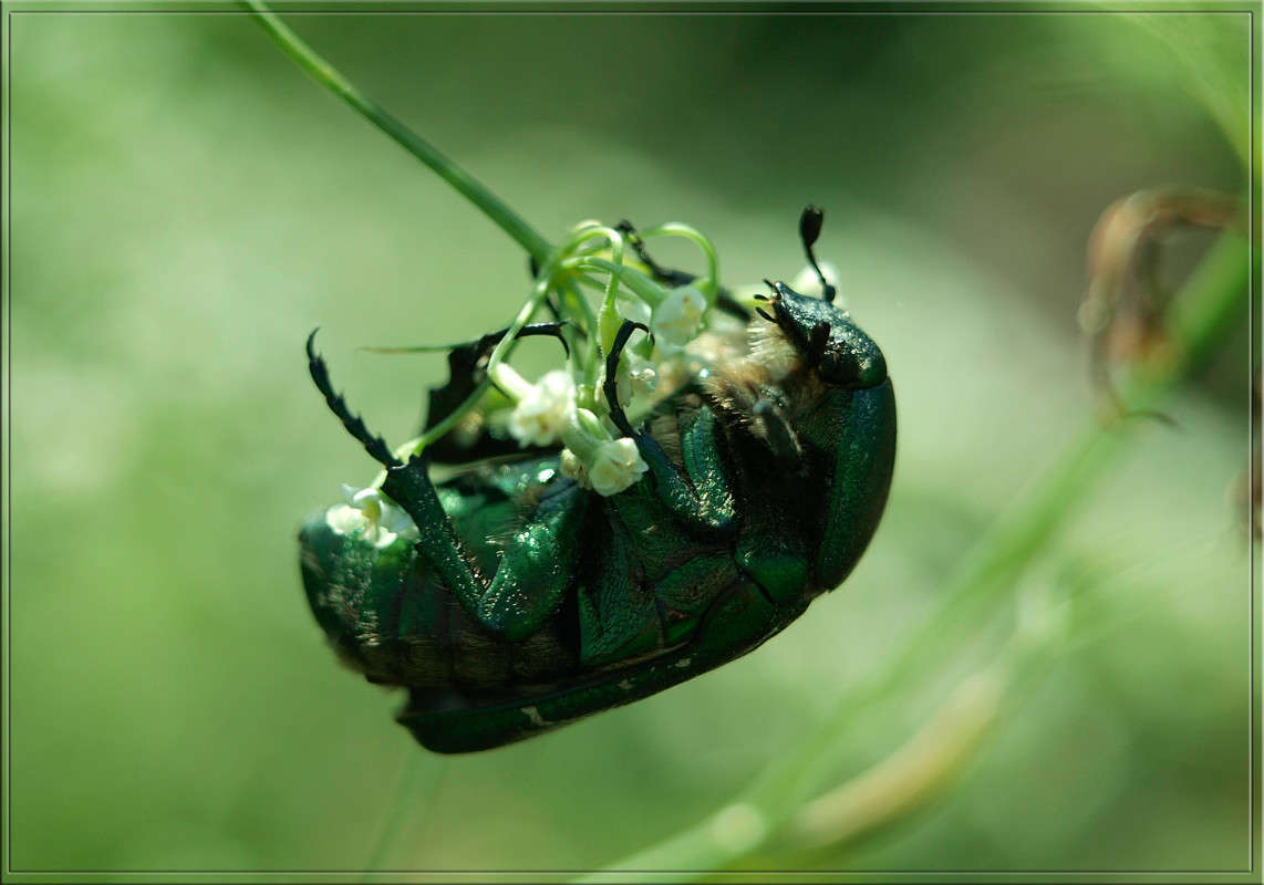 ��������� �� ����������� ����� ������  �� PhotoGeek.ru #�����