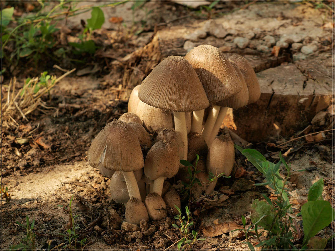 ������ � ������ ������ ����� ������  �� PhotoGeek.ru #������ ��� �������