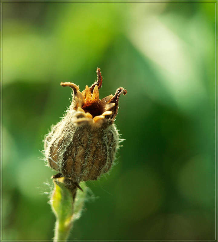 �������� ������� ����� ������  �� PhotoGeek.ru #�����