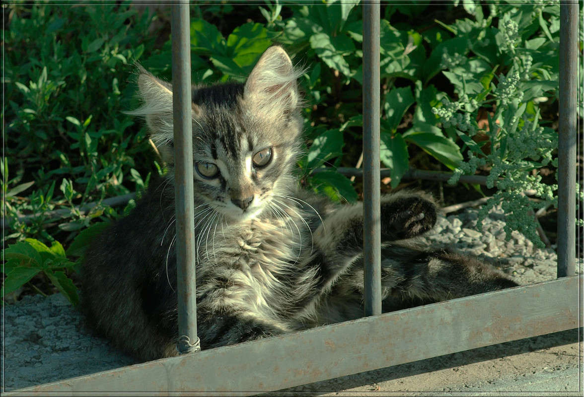 ������� ����� ������  �� PhotoGeek.ru #�������� ���