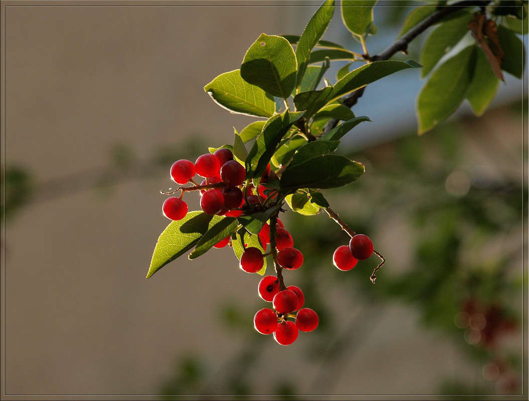 ��� ����� ����������� ����� ������  �� PhotoGeek.ru #������ ��� �������