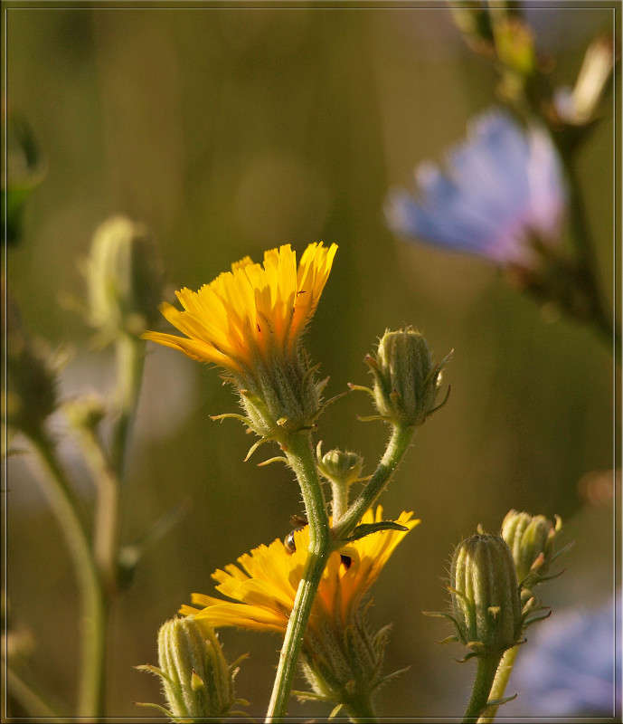���� � �� ���� ����� ������  �� PhotoGeek.ru #������ ��� �������