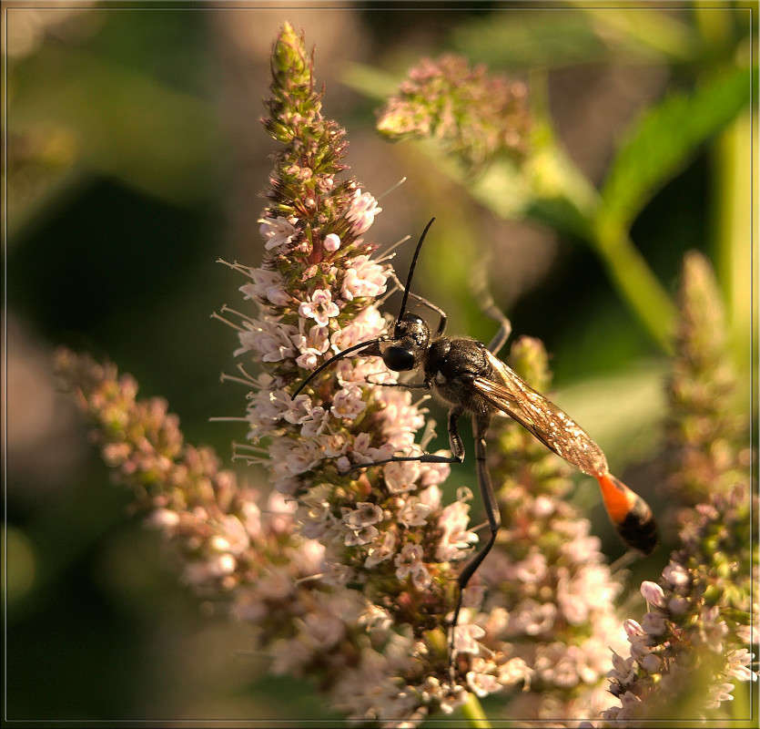 ����� ������ ������ ����� ������  �� PhotoGeek.ru #�����