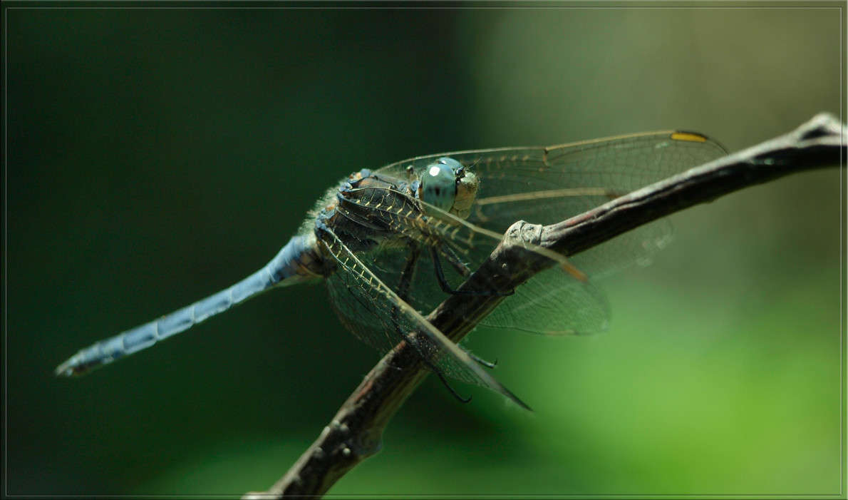 ������������ ����� ������  �� PhotoGeek.ru #�����