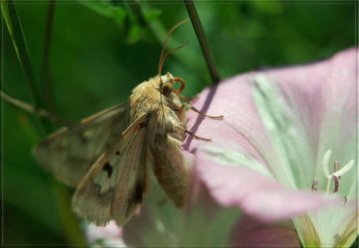 ��������� � �������� ����� ������  �� PhotoGeek.ru #�����