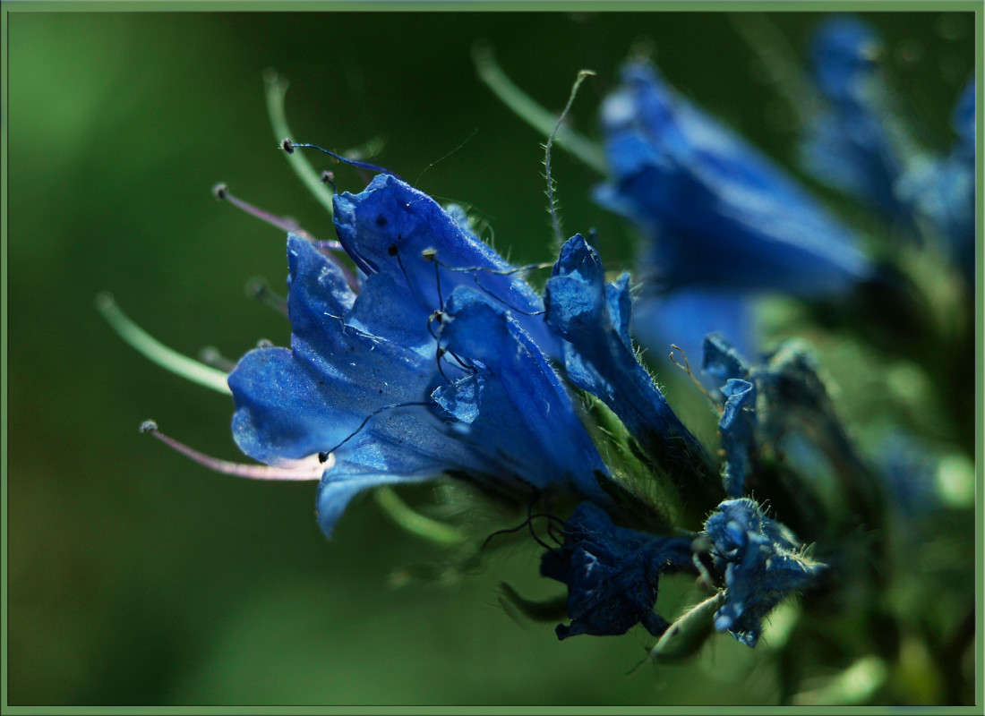����� ������� ����� ������  �� PhotoGeek.ru #������ ��� �������